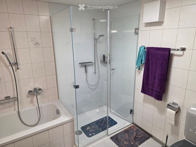 Modern bathroom with a bathtub, glass-enclosed shower, towel rack with towels, toilet, and a toilet paper holder. The shower has a handheld sprayer and a built-in shelf holding toiletries.