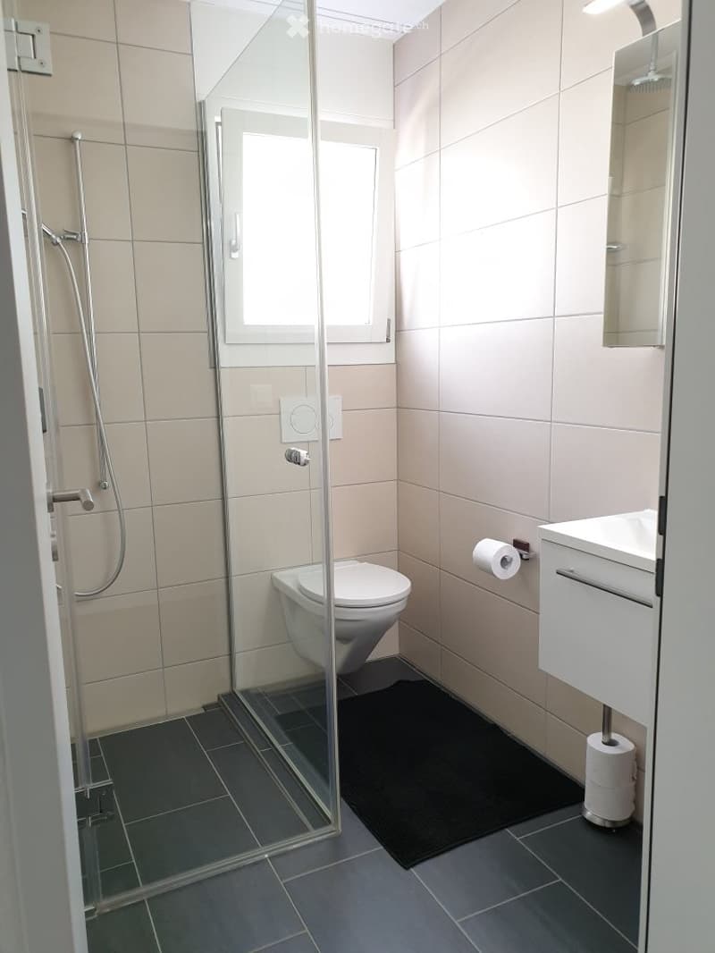 Modern bathroom with a glass-enclosed shower, toilet, sink, and mirror. Features a black bathroom mat and a toilet paper holder with an extra roll nearby.