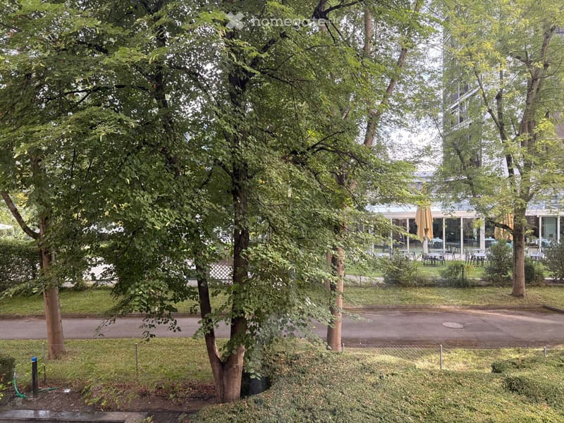 A lush garden area with tall trees, a paved driveway, and a building with outdoor seating in the background.