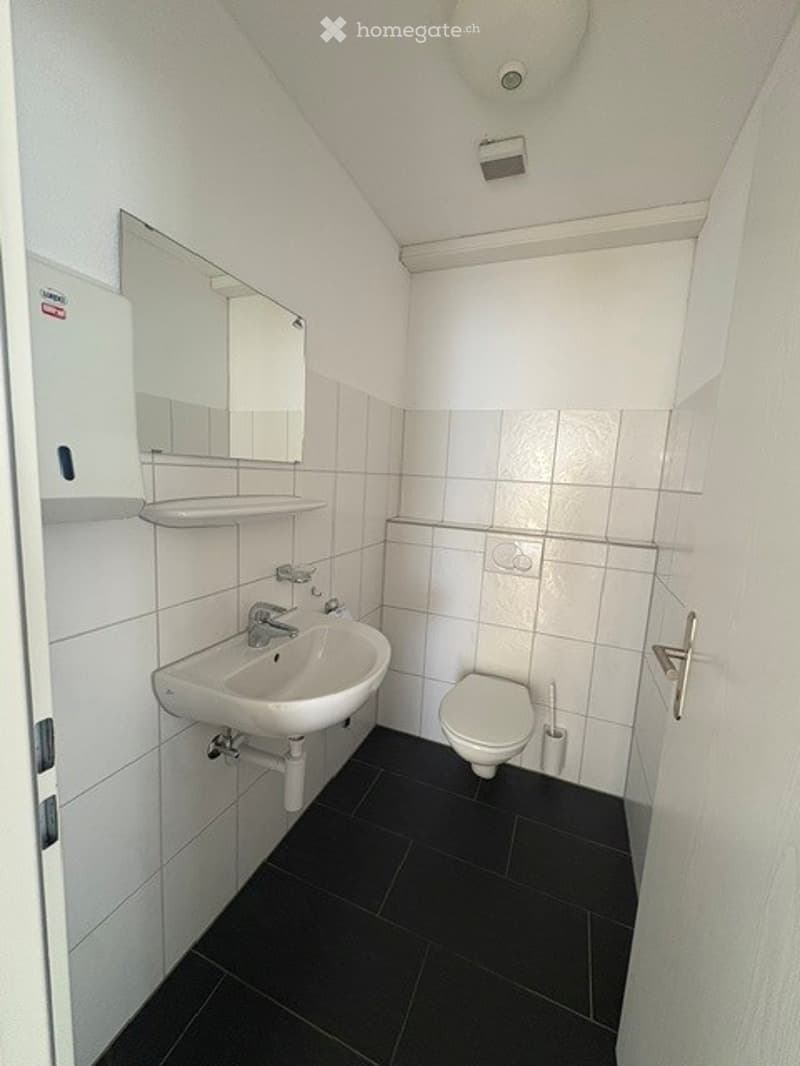Modern, compact bathroom with white tiles, black floor, a sink with mirror, toilet, and a toilet brush holder.