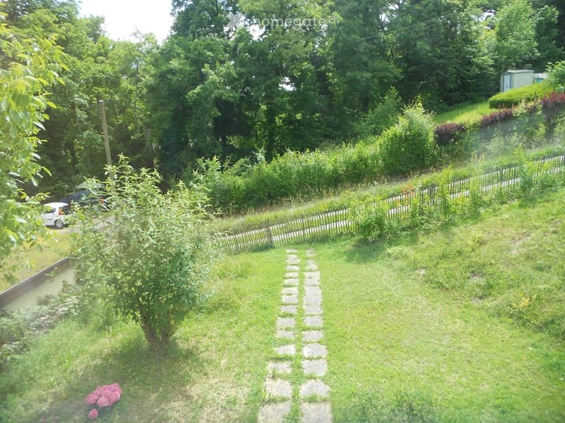 A well-maintained garden with a stone pathway leading through lush greenery, a small pond on the left, and a fence bordering the property. There are trees, shrubs, and a small garden shed visible in the background.