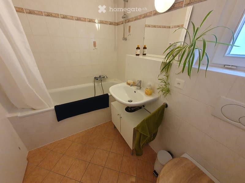 Bathroom with a bathtub, sink, toilet, and a small plant on the windowsill. The walls are tiled, and there is a towel hanging on the side of the sink.