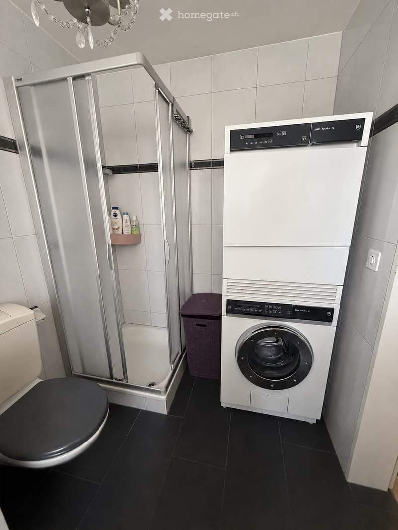 Modern bathroom with a toilet, a glass-enclosed shower, a washing machine, and a small trash bin. The shower has a built-in shelf holding several bottles. The floor is black tiled, and the walls are white tiled.