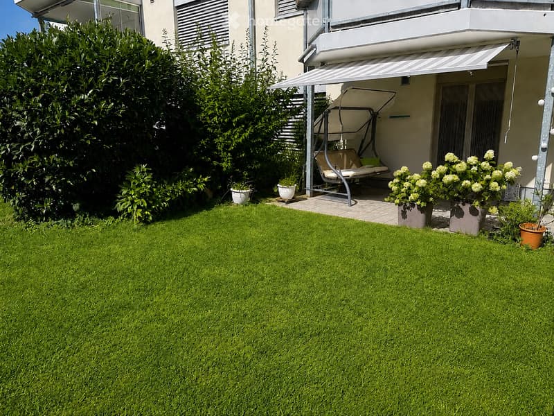 Well-maintained garden with green lawn, potted plants, and a hanging egg chair near the house.