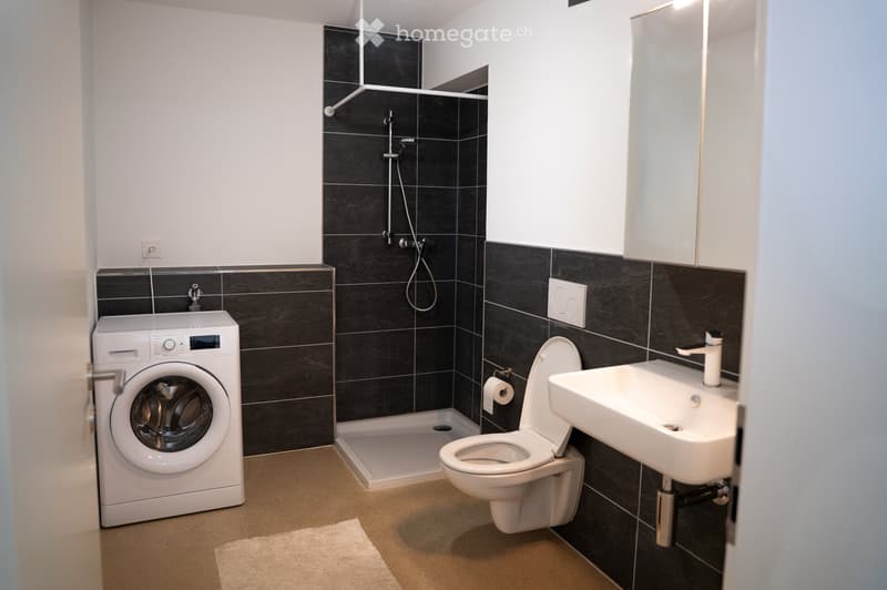 Modern bathroom with black tiled walls, a shower, toilet, sink, and a private washing machine.