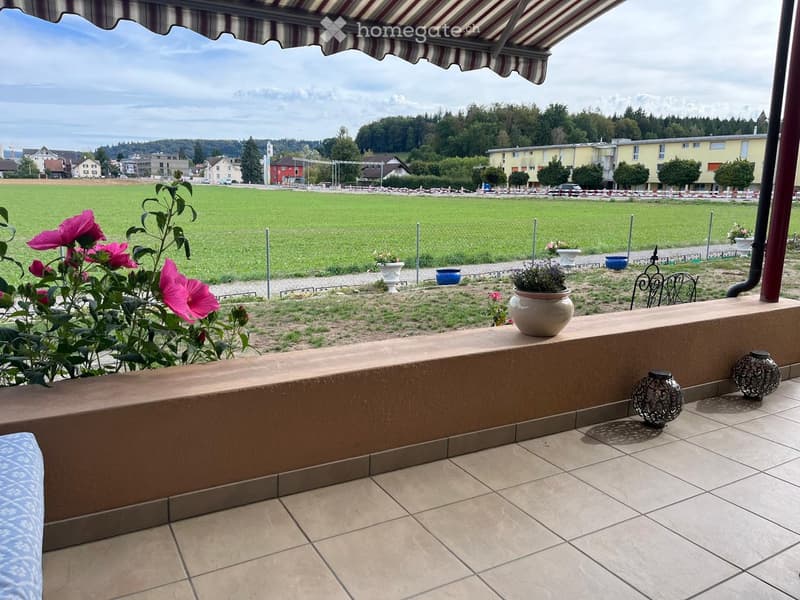 Balcony with tiled floor, striped awning, potted plants, and a view of a green field and distant buildings.