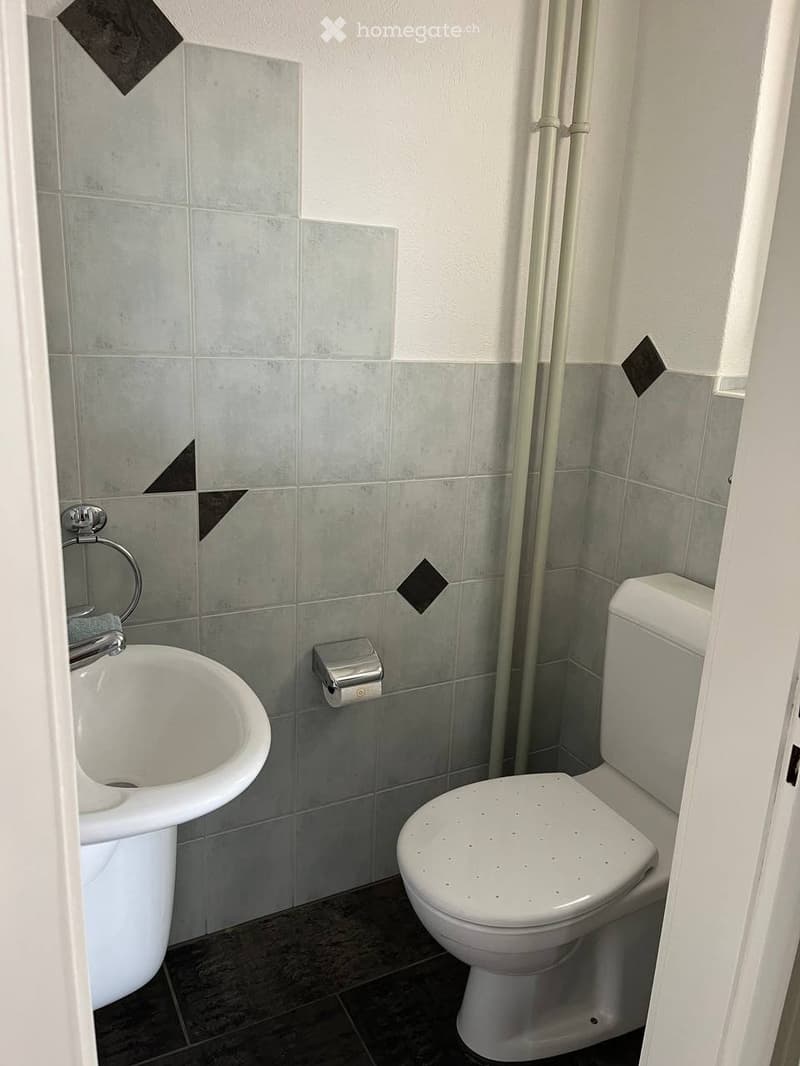 A small bathroom with a white toilet, a white sink, a toilet paper holder, and a towel ring. The walls are tiled in grey with black diamond-shaped accents.