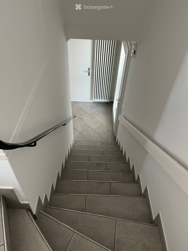 Modern staircase with tiled steps, metal handrails, and a white door at the end.