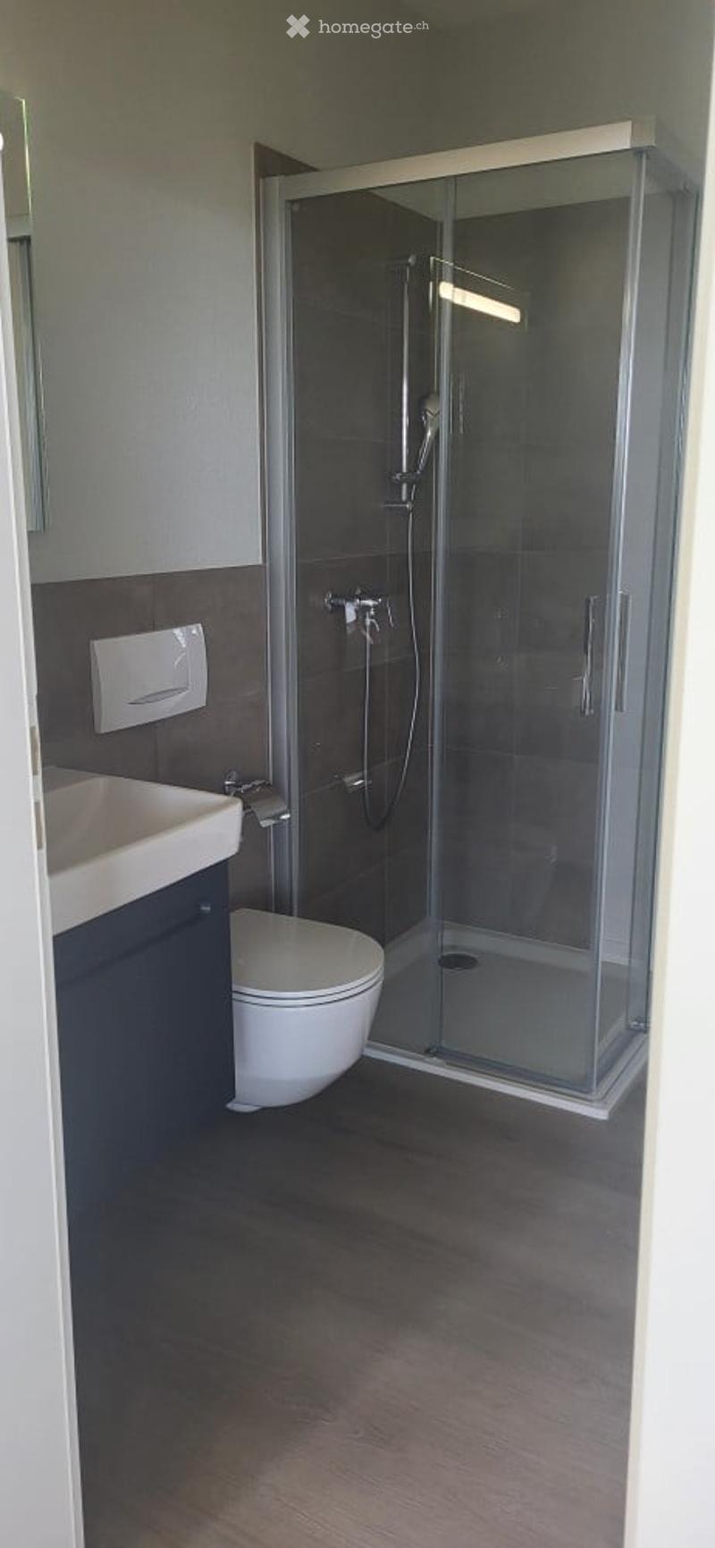 Bathroom: toilet, glass shower stall, white sink, dark floor, light wall, mirror