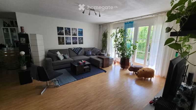 Modern living room with hardwood flooring, large windows, grey sectional sofa, coffee table, armchair, TV, and decorative plants.