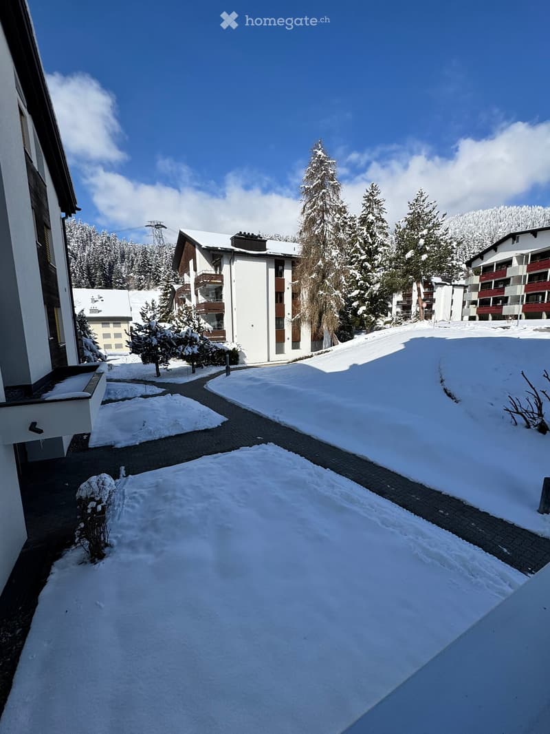 Snow-covered pathway leading to a residential building surrounded by snow-covered trees and other buildings in the background.