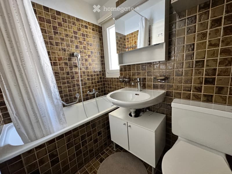 Bathroom with brown tiled walls, a bathtub, a sink with a cabinet, a toilet, and a mirror above the sink. A shower curtain is visible in the bathtub area.