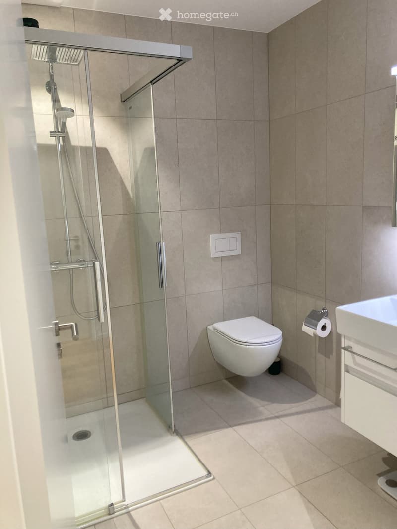Modern bathroom with a glass-enclosed shower, toilet, sink, and toilet paper holder. The walls and floor are tiled in a neutral color scheme.
