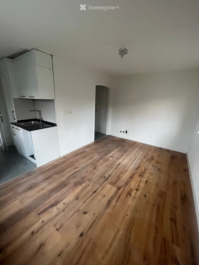 Empty room with light wooden flooring, white walls, and a small white kitchen area with a sink and cabinets.
