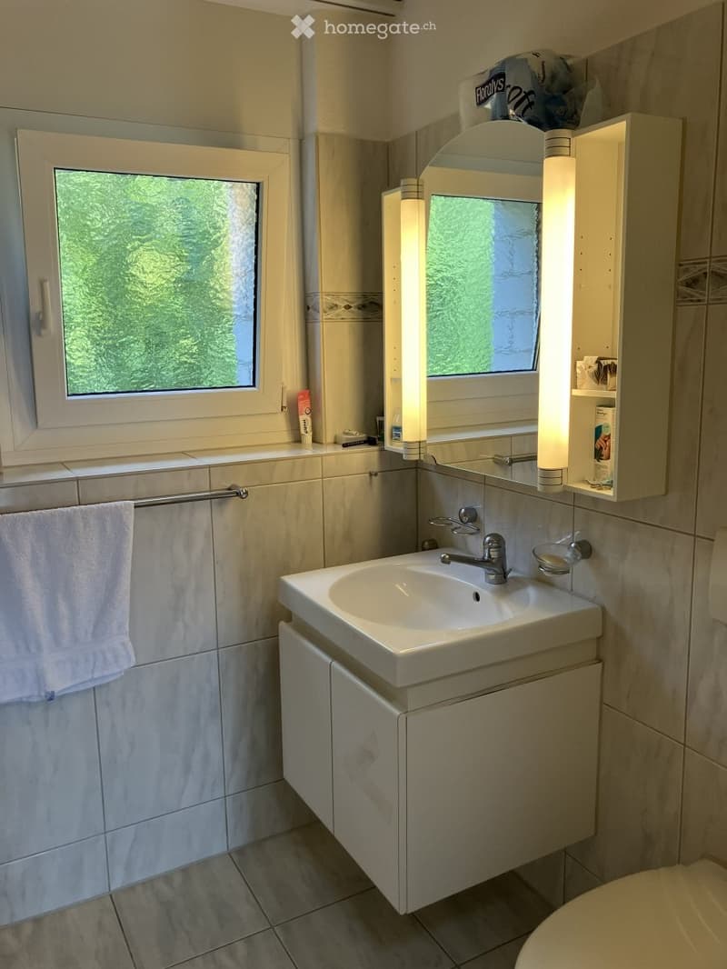 Modern bathroom with a white sink, mirror, cabinet, and towel. Features a window with a view of greenery.