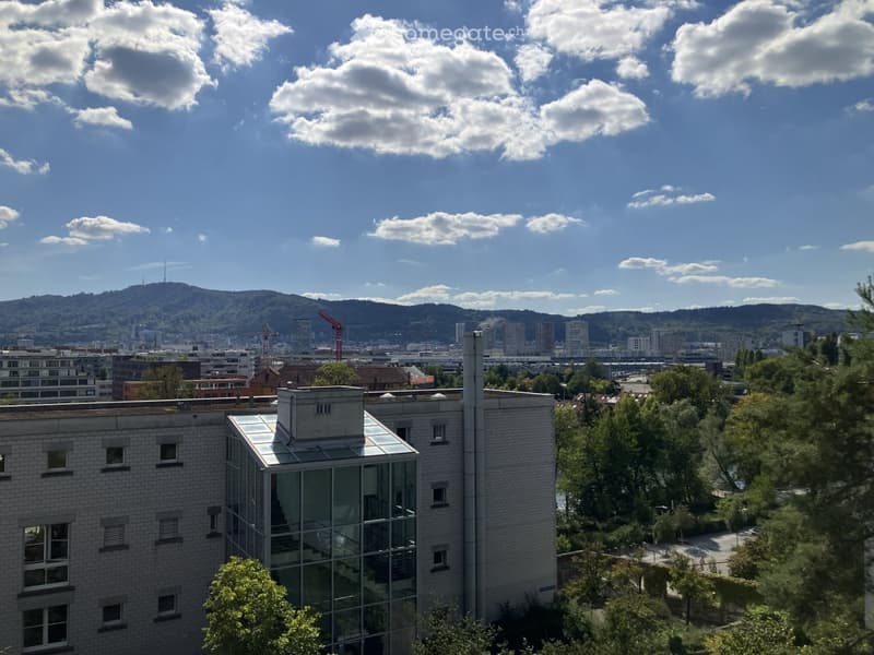 View of a cityscape with modern buildings, a mix of brick and glass structures, and a distant mountain range under a partly cloudy sky.