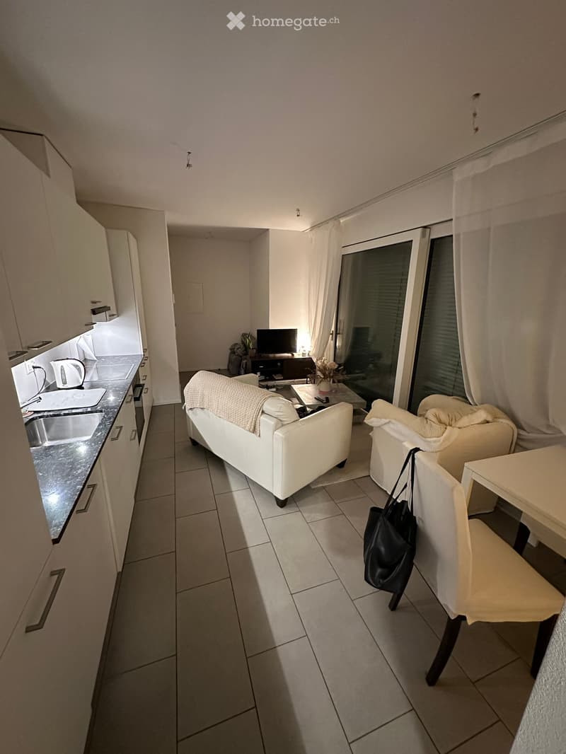 A modern, open-plan living and dining area with a white sofa, armchair, dining table, and a small kitchen area featuring a sink, oven, and countertop.