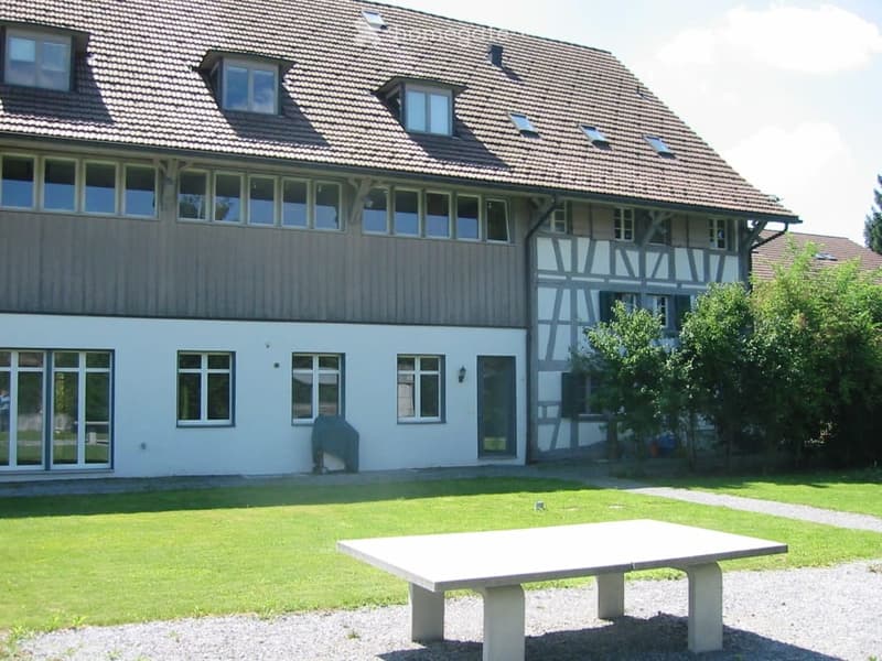 Gelegenheit in Alt-Effretikon (8)