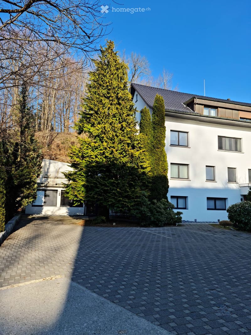 Modern two-story house with white exterior, multiple windows, and a sloped roof. The house is surrounded by tall evergreen trees and has a paved driveway leading to the entrance.
