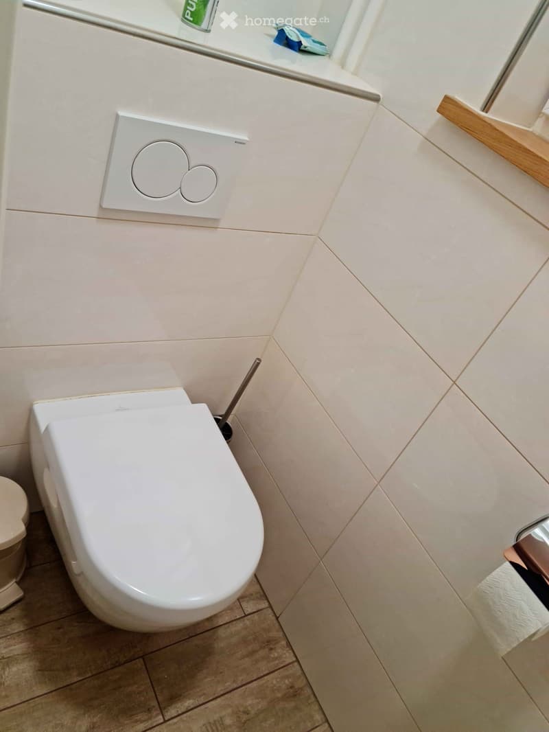 Modern bathroom with a white toilet, beige tiled walls, and a wooden floor. A toilet paper holder and a toilet brush are visible.