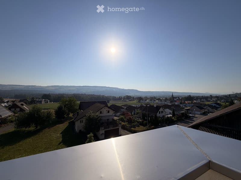 View from a rooftop showing a suburban neighborhood with houses, trees, and a distant landscape under a clear blue sky.