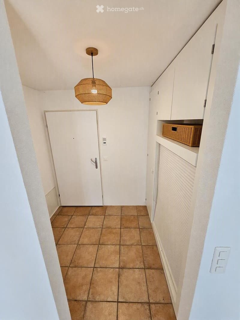 A narrow hallway with tiled flooring, white walls, and a hanging woven pendant light. A white door is visible at the end, and built-in white cabinets with a small woven basket on the shelf are on the right side.