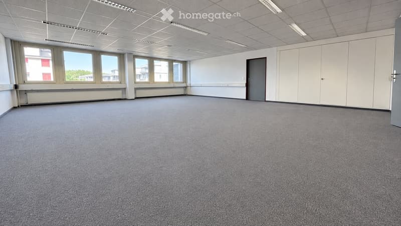 Empty room with grey carpet, white walls, large windows, and a closed door.