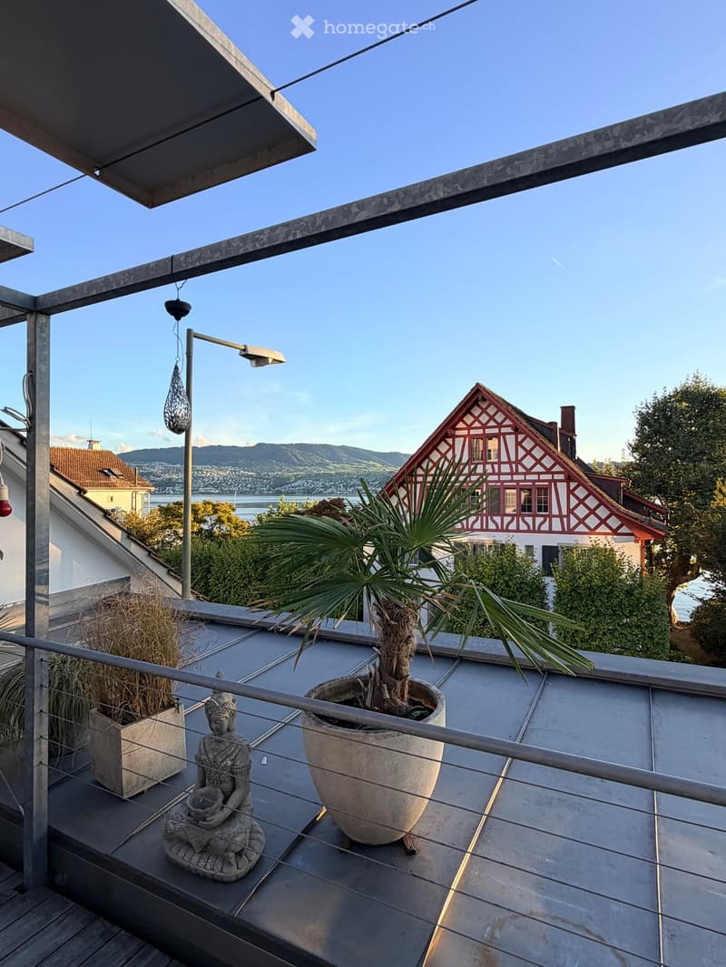 Roof terrace with a view of a lake and mountains, featuring a large potted plant and a decorative statue.