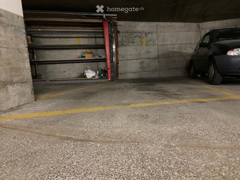 Underground parking area with concrete walls, a parked car, and a metal shelving unit with miscellaneous items.