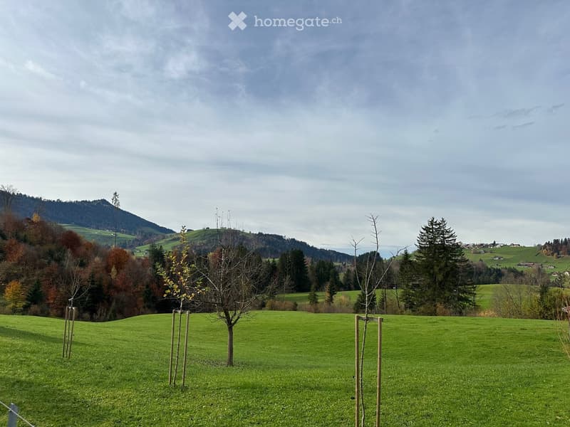 A wide, green meadow with a few young trees and wooden stakes, surrounded by forested hills and a partly cloudy sky.