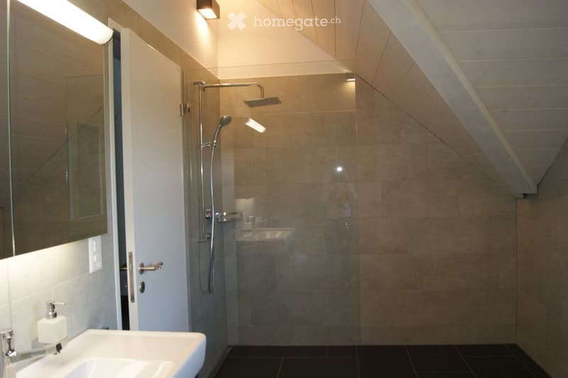 Modern bathroom with a white sink, large mirror, glass-enclosed shower, and sleek fixtures.