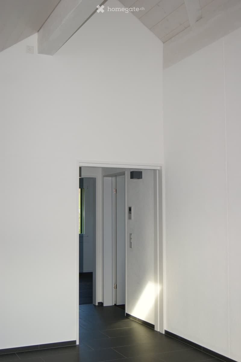 Modern hallway with white walls, black tiled floor, and a door leading to another room.