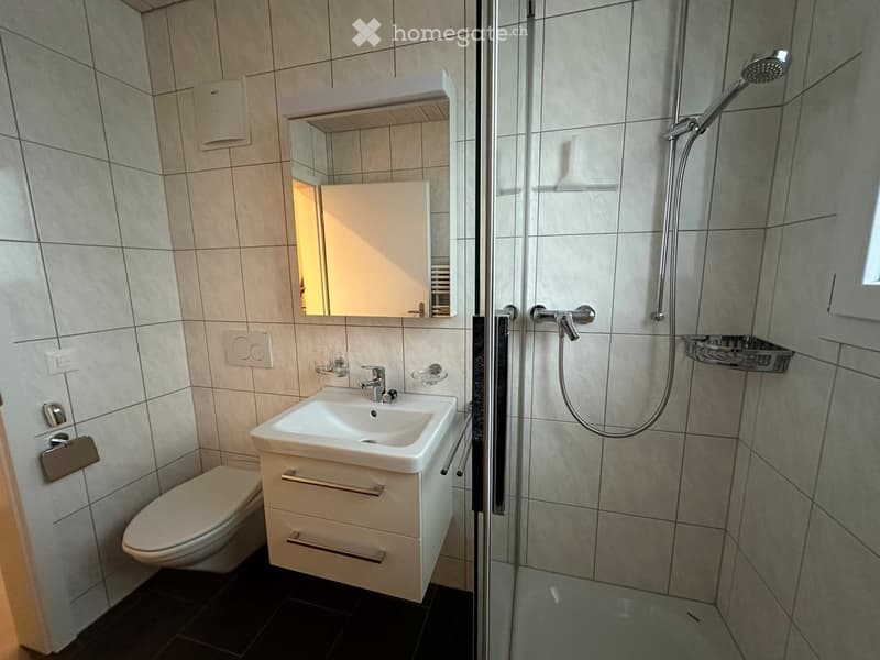 Bathroom with white tiles, a toilet, a sink, a mirror, and a shower area.