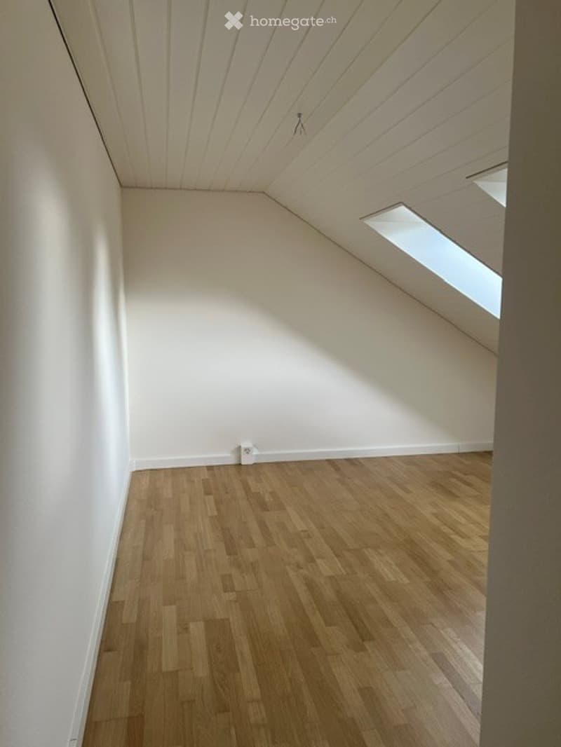 Completely empty room with wooden flooring and white walls, featuring a skylight window on the slanted ceiling.