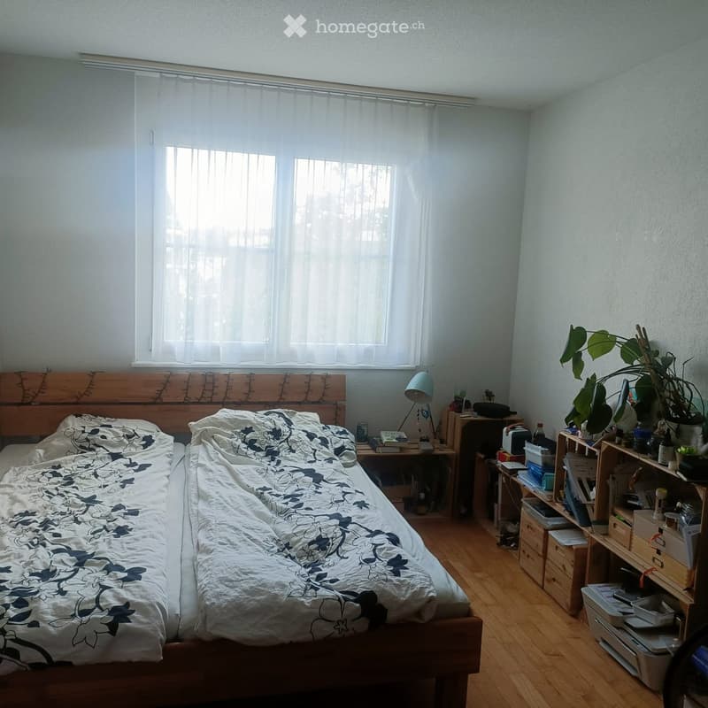 A well-lit bedroom with a wooden bed, patterned bedding, a nightstand with a lamp, a plant on a shelf, and a wooden floor.