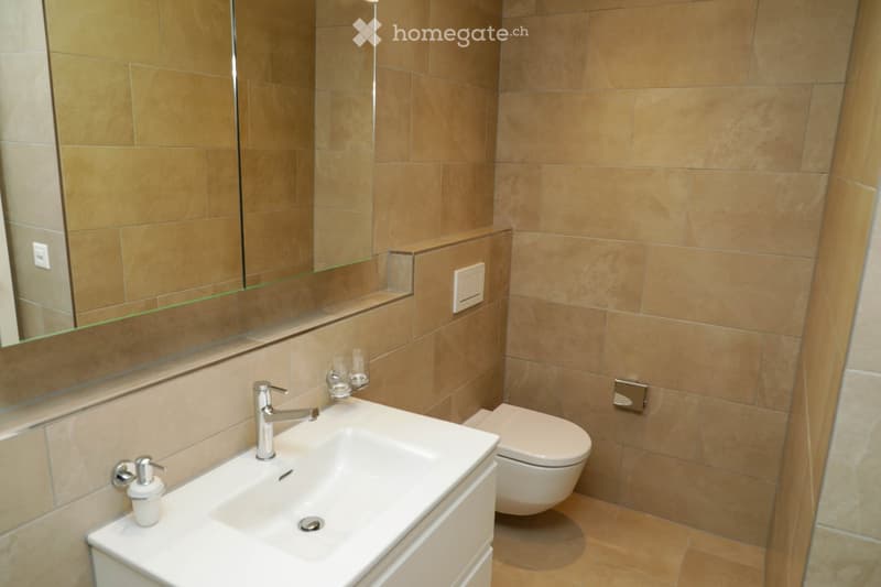 Modern bathroom with beige tiled walls and floor, white sink with chrome faucet, toilet, large mirror, and soap dispenser.
