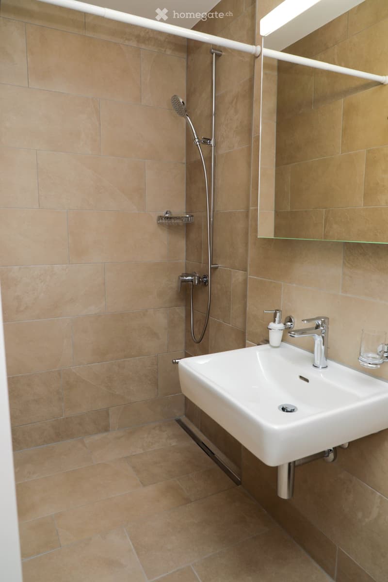 Modern bathroom with beige tiled walls and floor, white sink with chrome faucet, shower area with handheld showerhead, and a mirrored cabinet with glass shelf.