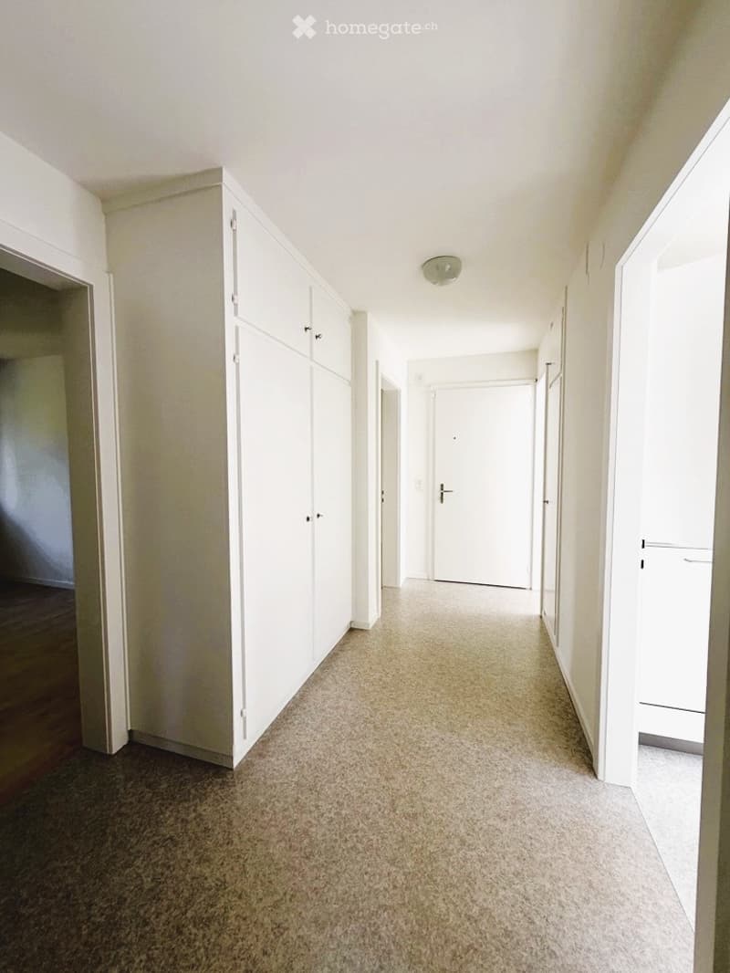 Empty hallway with beige carpeting, white walls, built-in cabinets, and a single ceiling light fixture.