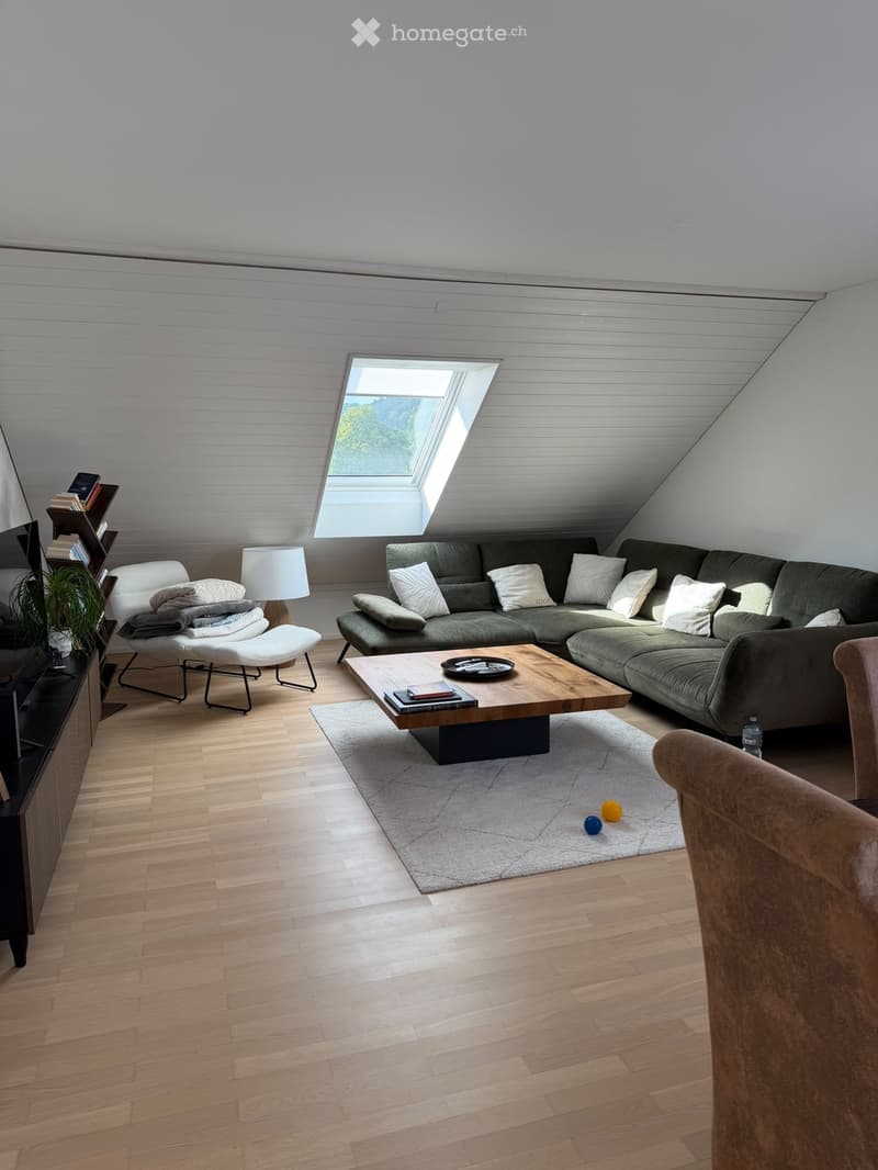 Modern living room with wooden flooring, a large sectional sofa, a coffee table, a white armchair, a table lamp, a bookshelf, and a plant. A skylight provides natural light.