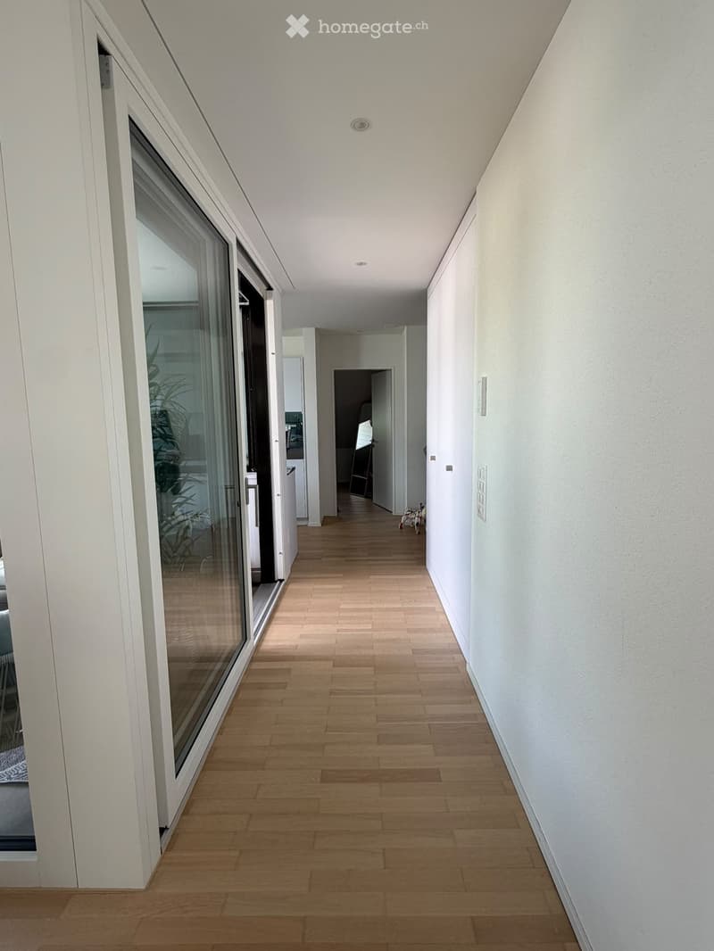 Modern hallway with light wooden flooring, white walls, and recessed ceiling lighting. Features a large glass door on the left leading to another room.
