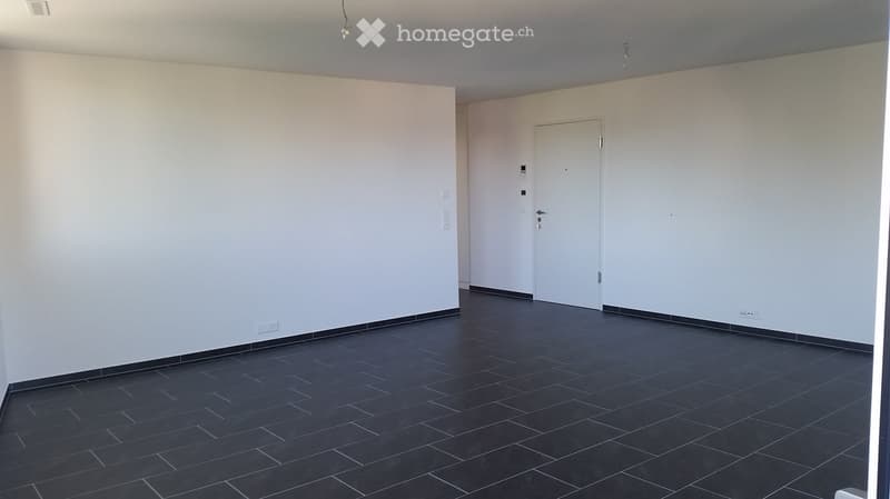 Empty room with white walls, dark tiled floor, and a single white door.