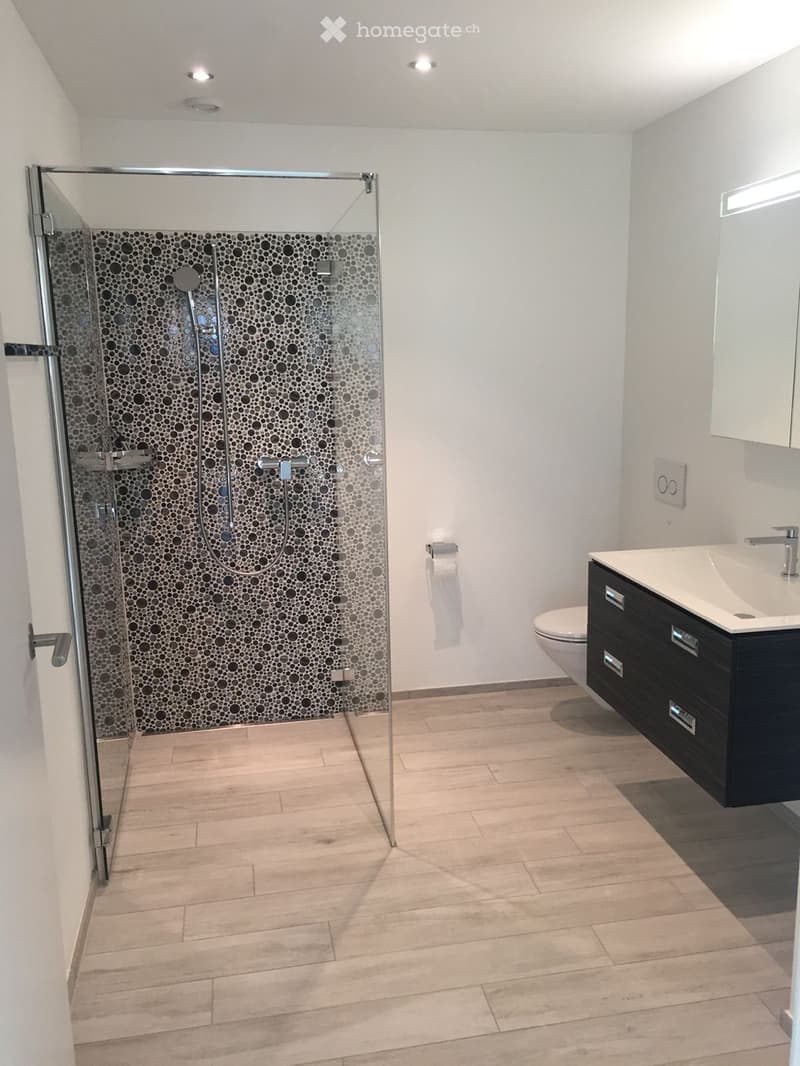 Modern bathroom with a glass-enclosed shower featuring a black and white circular tile backsplash, a black vanity cabinet with a sink, a toilet, and a mirror above the sink. The floor is light wood tile.