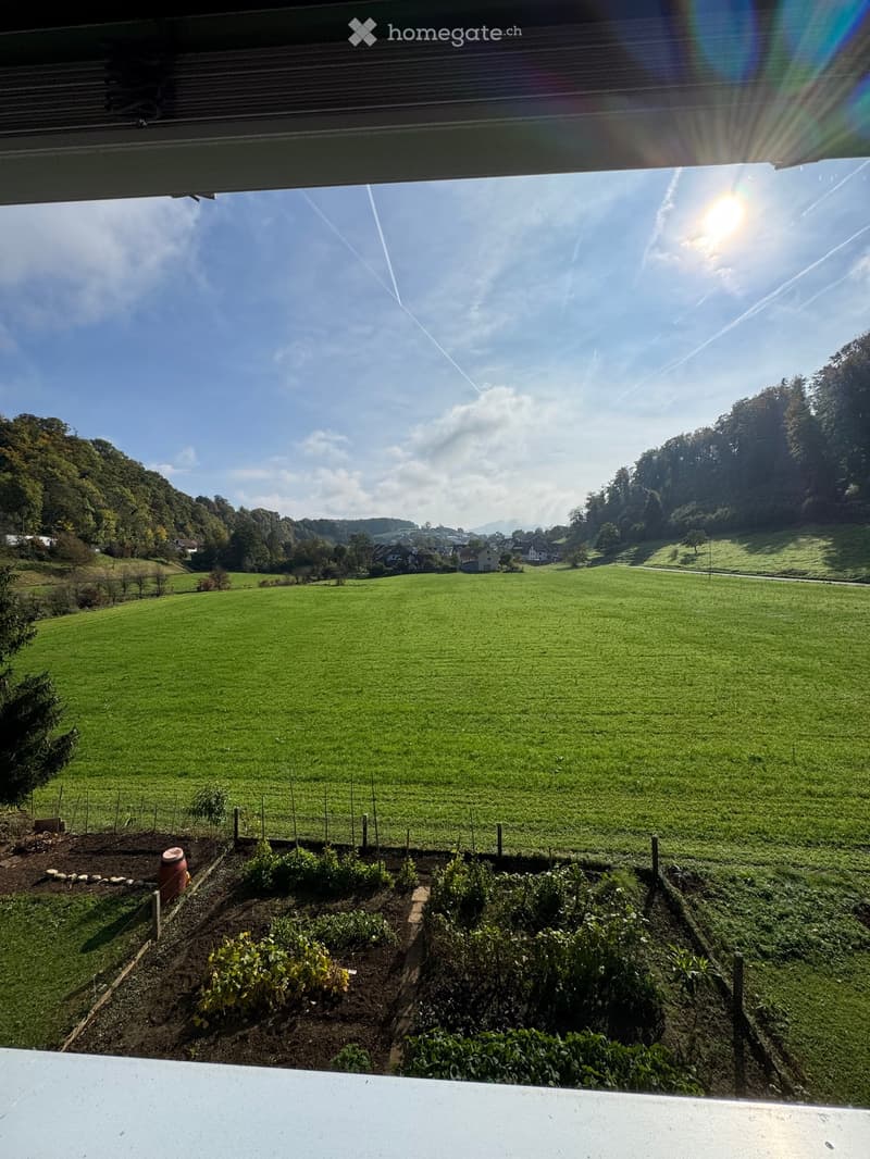 View from a balcony or terrace overlooking a lush green field with scattered trees and distant houses under a clear blue sky.