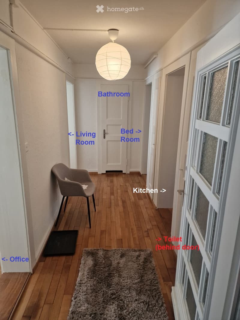 A narrow hallway with wooden flooring, white walls, and a hanging spherical light fixture. A single chair and a small rug are placed on the floor, with doors leading to various rooms.