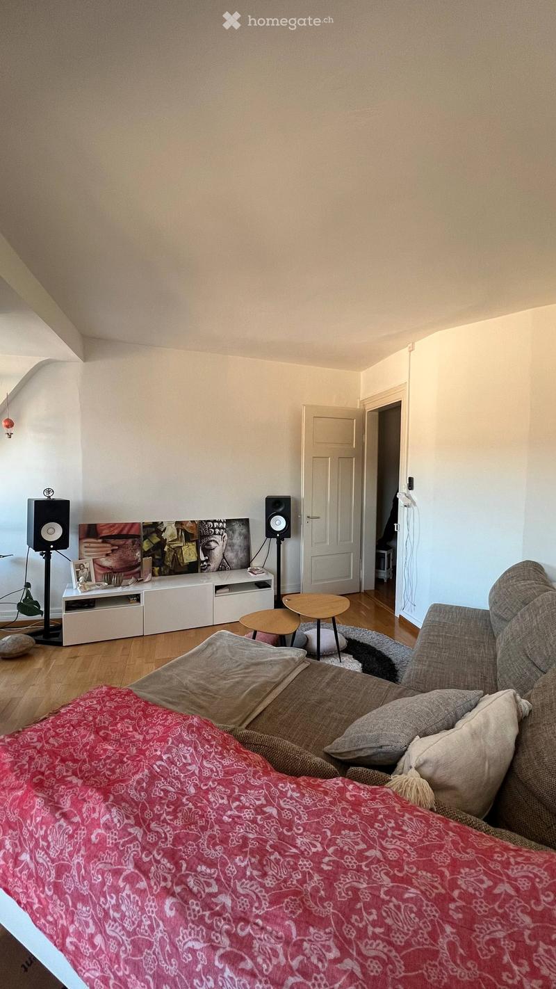 Living room with a grey sofa covered in a red patterned blanket, pillows, a coffee table, speakers, a TV stand, and a picture frame on the wall.