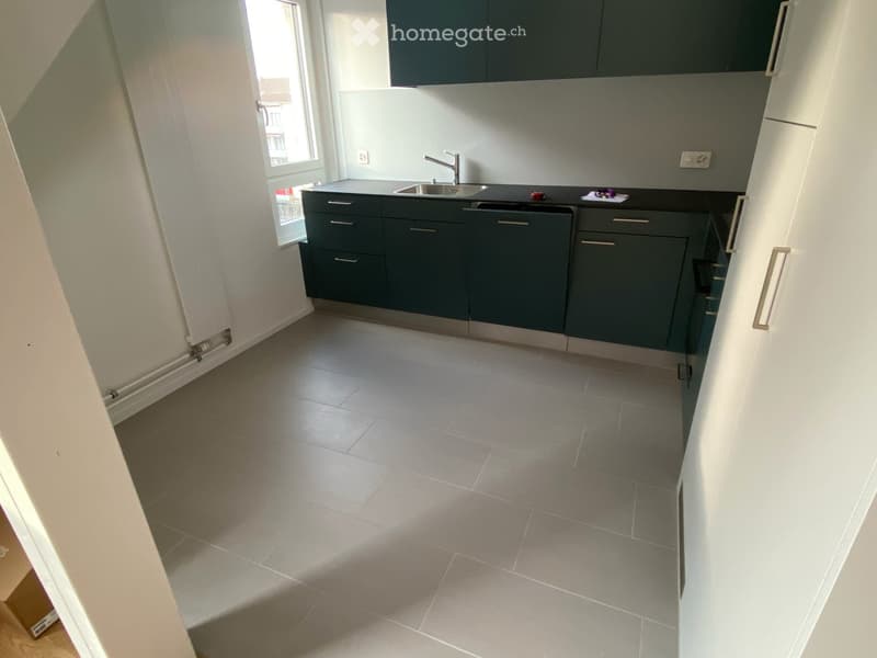 Charming 2.5-Room Apartment with Terrace in Zürich-Altstetten (2)