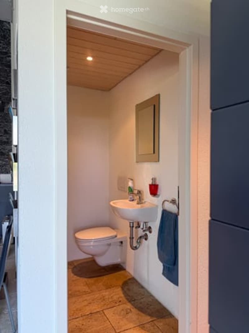 Compact bathroom with a toilet, sink, mirror, and a towel hanging on the wall. The ceiling is wooden, and the floor is tiled.