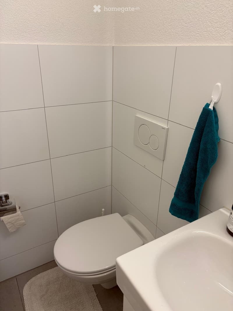 Modern bathroom with white tiled walls, a toilet, a sink, a towel hanging on a rack, and a toilet paper holder.