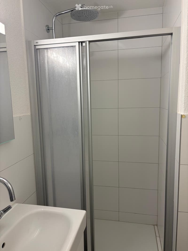 Modern bathroom with a white sink, chrome faucet, and a glass-enclosed shower with a modern showerhead.