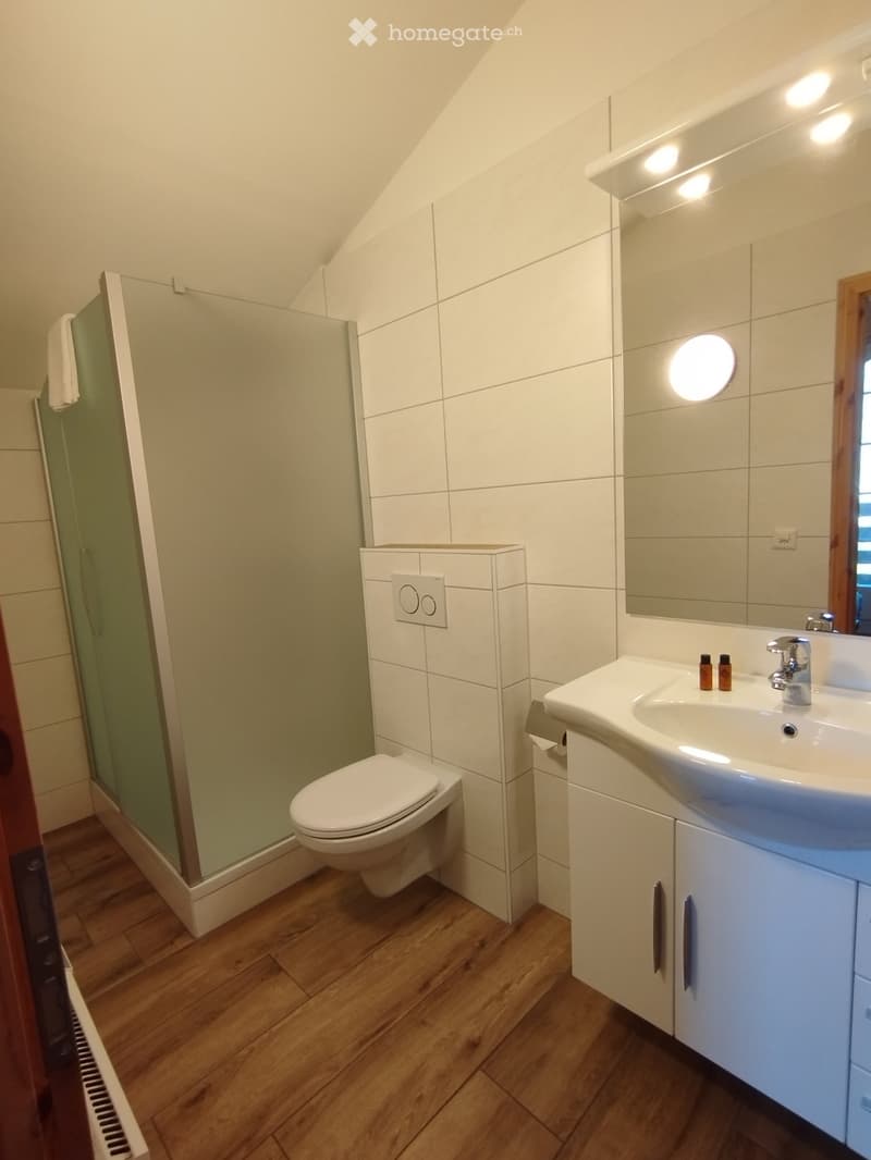 Modern bathroom with wooden flooring, white tiled walls, a toilet, a sink with a mirror, and a glass-enclosed shower area.